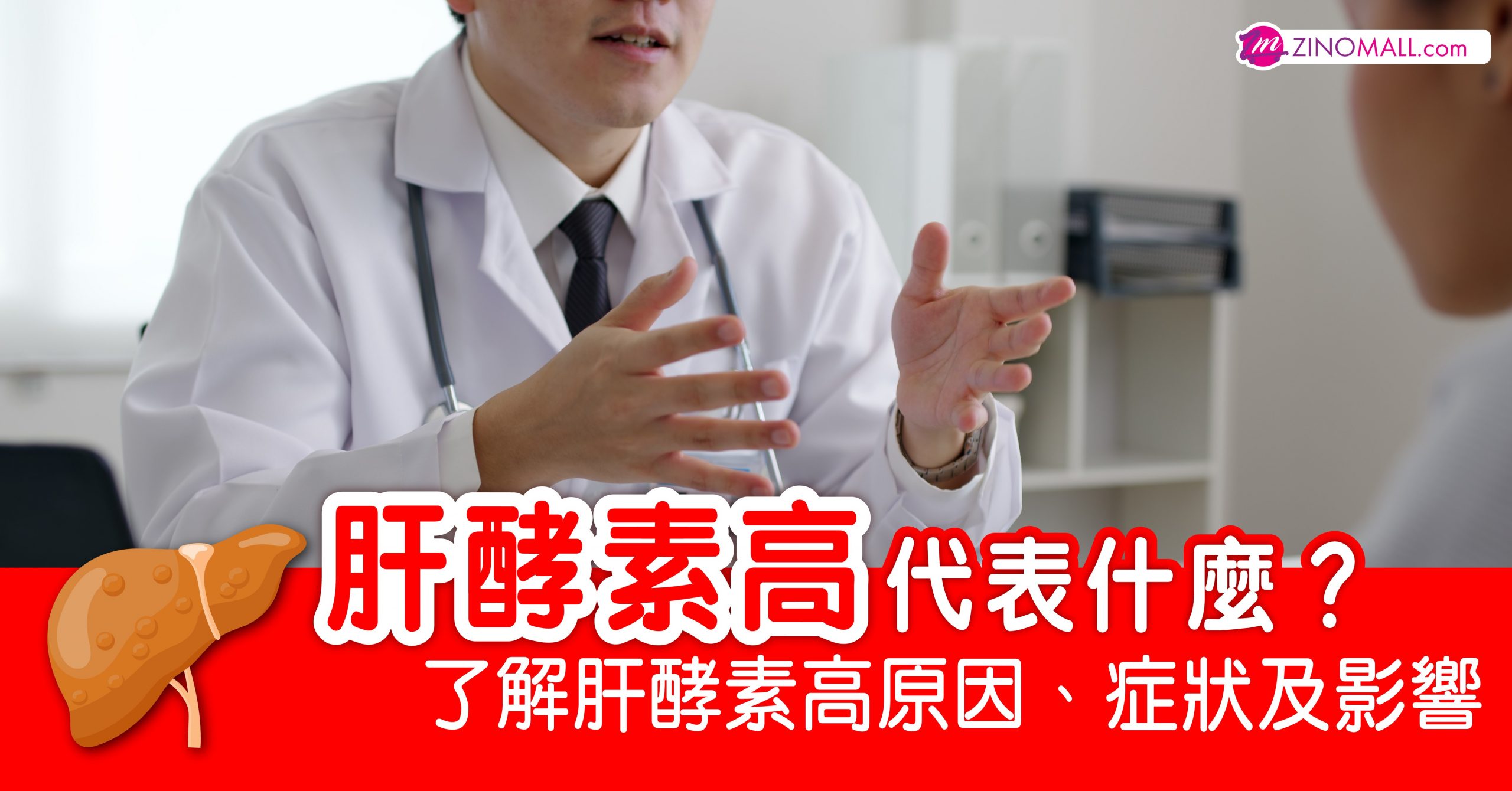 肝酵素高代表什麼？了解肝酵素高原因、症狀及影響 - ZINOMALL