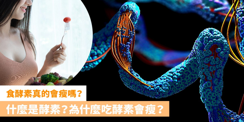 食酵素真的會瘦嗎? 為什麼食了酵素就會瘦？｜草姬 燒脂控